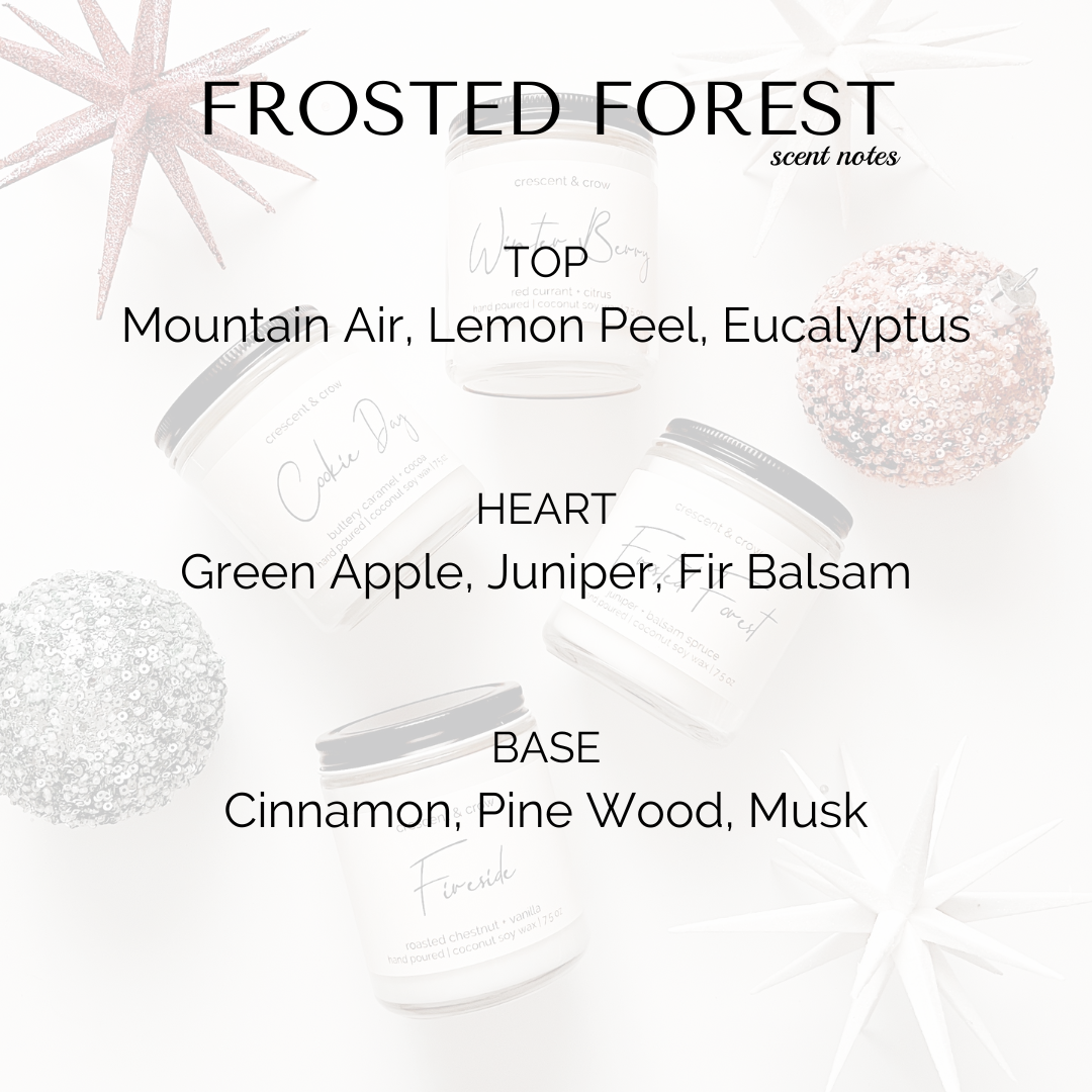 Frosted Forest Limited edition Candle [juniper + balsam spruce]